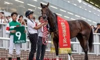 2歳戦の複勝率“88.9％” 新潟2歳S覇者トータルクラリティも該当するバゴ産駒の「好走パターン」