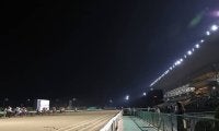 29日の佐賀競馬は台風の影響で開催取り止め サマーチャンピオンは9月1日に順延 