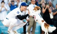 大谷翔平＆デコピンの「最も可愛い始球式」　米メディアも称賛「人生最高の日」
