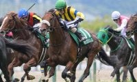銀メダルはもういらない 2着10回の堅実派が待望の重賞初制覇へ