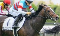 半兄は豪G1馬のアドマイヤラクティ ジュンツバメガエシが赤倉特別で連勝なるか