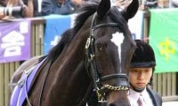 22年セレクトセールの超高額落札馬 “黄金タッグ” でデビュー戦Vなるか