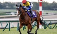 【セントウルS想定馬・騎手】ママコチャ、テンハッピーローズなど18頭