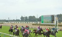 【新潟5R新馬戦結果】シーザリオの孫ヴィンセンシオが人気に応えてV