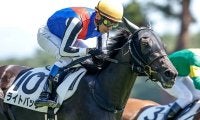 【新潟記念予想】牡馬が圧倒的な良績を残す！ 苦戦傾向の牝馬に求められる好走条件とは