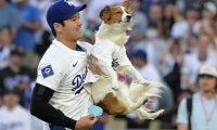 美人レポーターも注目…大谷の新たな才能　寄せた珍依頼「訓練してもらえないかしら」