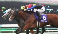 【セントウルS登録馬】ママコチャなど18頭