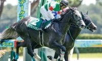 23年の新潟ジャンプS覇者サクセッションが登録抹消 今後は乗馬に