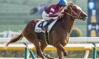 愛G1・アイリッシュチャンピオンステークスの馬券発売が決定 日本からシンエンペラーが参戦予定
