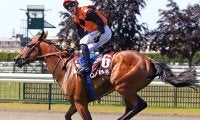 仏G1・凱旋門賞の馬券発売が決定 日本からシンエンペラーが参戦予定