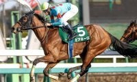 【紫苑S展望】活躍馬続出の秋華賞トライアル、前走オークス組が主流