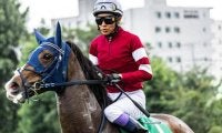 2.1億円ダイワメジャー産駒が惜敗続きにピリオドへ 武豊騎手の手綱で2000mの紫苑Sに挑む