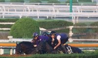 オールセインツ＆メリオーレム、神戸新聞杯2週前追い切り速報/栗東トレセンニュース