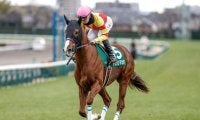 【セントウルS出走馬・騎手確定】ピューロマジック＆横山和生騎手、トウシンマカオ＆菅原明良騎手など18頭
