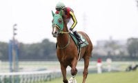 “ハンデキャッパー冥利”に尽きる名勝負 15年京成杯AHは勝ち馬から7頭が0.1秒差