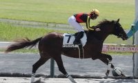 【中京4R新馬戦結果】トリポリタニアが快勝 ルヴァンスレーヴ産駒のJRA初勝利