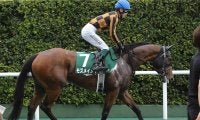 セントウルＳは馬場状態と展開がカギ 目が行くのは脚質転換に成功した牝馬から漂う勝負気配