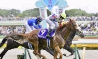 【AI予想・セントウルS】近年は牝馬の活躍が目立つ短距離重賞！ 得意の左回りで再びの激走に期待したい本命馬とは
