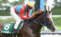 障害重賞2勝のトゥルボーが登録抹消 今後は乗馬に