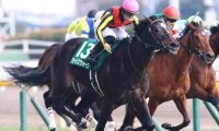 ローズSと好相性の中内田充正調教師＆川田将雅騎手タッグ GI馬の半妹で4勝目なるか