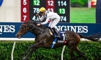 香G1・10勝ゴールデンシックスティの引退を香港JCが発表 余生はノーザンホースパークで過ごす