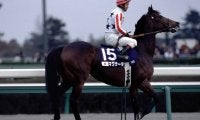 マグナーテンが28歳で死す 02年の毎日王冠など重賞4勝
