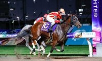 パライバトルマリンの競走馬登録抹消…交流重賞で活躍