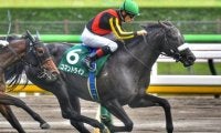 米G1勝ち馬を母に持つ1.2億円馬 武豊騎手の手綱でデビューV飾るか