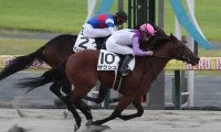 【中京4R新馬戦結果】ミッキーアイル産駒ザクシスがゴール前で差し切りV