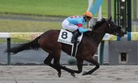 【中京4R新馬戦結果】ナダル産駒プロミストジーンが断然人気に応えて完勝