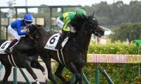 【中京5R新馬戦結果】キズナ産駒サトノシャイニングが抜け出し快勝