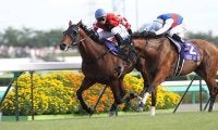 スプリンターズSに外国馬“2頭”参戦時は馬券内率100％!? 過去3回を振り返る