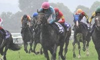 【京都大賞典想定馬・騎手】ブローザホーン、ディープボンドなど11頭