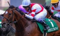 今週の武豊騎手は11鞍 オオバンブルマイで22年ぶりのスプリンターズS3勝目なるか
