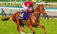 凱旋門賞挑戦の藤田晋オーナー×矢作厩舎 今週はマル外1.6億円注目馬がスタンバイ