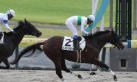 【中京4R新馬戦結果】ヘンリーバローズ産駒ローランドバローズが初陣飾る