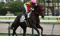 【中京5R新馬戦結果】イスラボニータ産駒ロケベンドラが突き抜け完勝