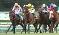 ファルコニアの競走馬登録抹消…重賞で活躍