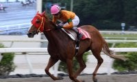 【高知・ミラク特別】グレートヒエンが2馬身差快勝…岡村「自信を持って乗った」