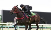 スプリンターズＳに参戦する香港馬２頭は買いか？ ふたりの調教師の反応から見た本気度