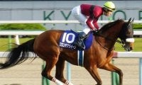 母は19年中山牝馬S覇者のフロンテアクイーン ブルーメサイアがデビュー