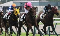 【中京5R新馬戦結果】キズナ産駒ワースが人気2頭の接戦を制す