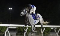 【高知・珊瑚冠賞】ガルボマンボが3馬身差完勝…断然人気ユメノホノオは2着