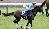 【京都大賞典登録馬】G1馬ブローザホーンなど11頭