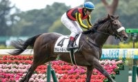 【サウジアラビアRC見どころ】良血アルレッキーノの連勝に期待