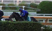 母系にジェンティルドンナなどGI馬ズラリの1.7億円馬 サトノブリジャールが川田将雅騎手と初陣/関西馬メイクデビュー情報