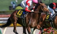 ダービー14着からの巻き返し狙う4.5億円馬 毎日王冠で史上最高額のJRA重賞勝ち馬となるか