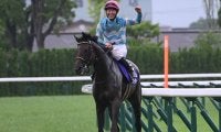【京都大賞典想定騎手】ブローザホーンは菅原明良騎手、プラダリアは池添謙一騎手