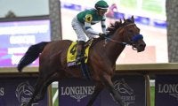 米最強馬フライトラインの父「タピット」 日本では芝・ダ問わず活躍馬を出す万能種牡馬
