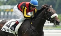 前走7馬身差V オークス馬チェルヴィニアの半弟がサウジアラビアRCで連勝狙う